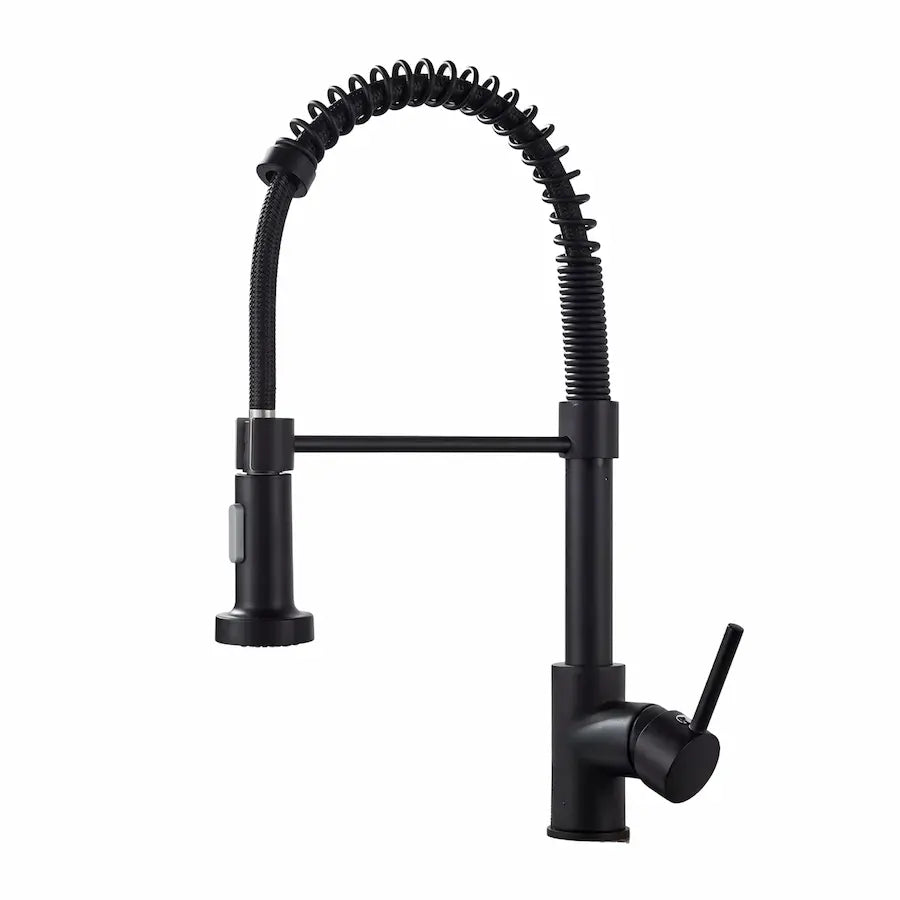 Robinet de Cuisine en Laiton avec Douchette couleur noir