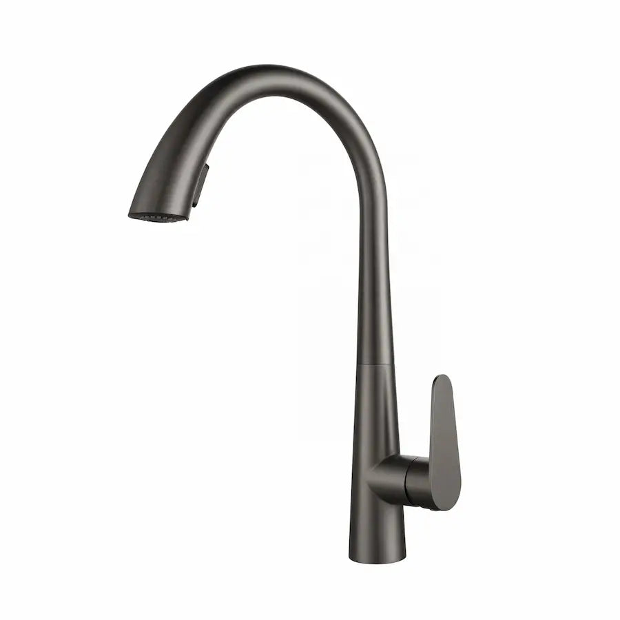 Robinet de Cuisine en Inox avec Douchette Extractible couleur gris
